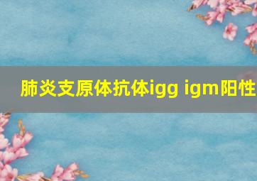 肺炎支原体抗体igg igm阳性